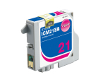NIE-ICM21